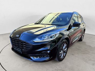 Ford Kuga 2.0 EcoBlue 120 CV Automatica NAVI 2WD ST-Line