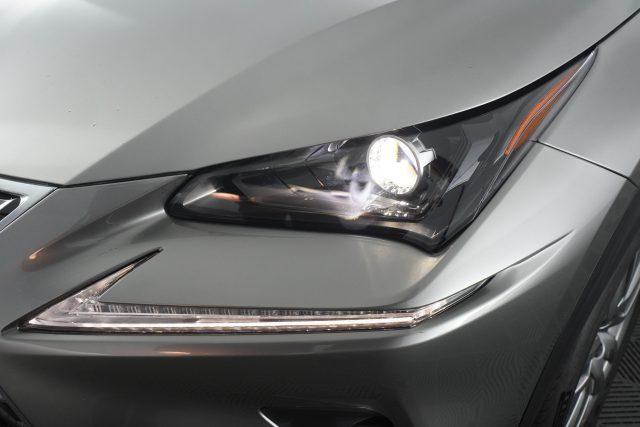 LEXUS Other NX NX Hybrid Business