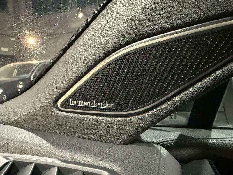 Volkswagen Tiguan Tiguan 2.0 TDI 193 CV DSG 4MOTION R-Line Plus