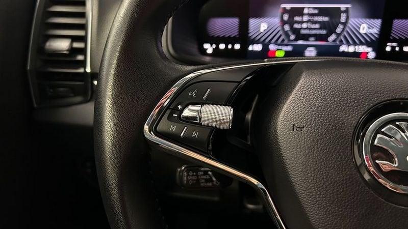 Skoda Karoq 2.0 TDI EVO SCR 115 CV DSG Executive