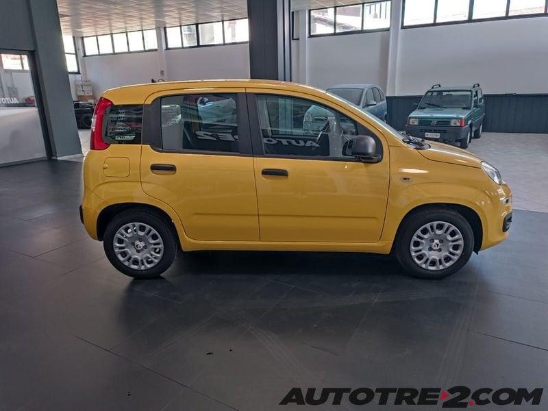 FIAT Panda Panda 1.0 FireFly S&S Hybrid Pop PANDINA DA € 9950 ANCHE A GIUGNO !!!