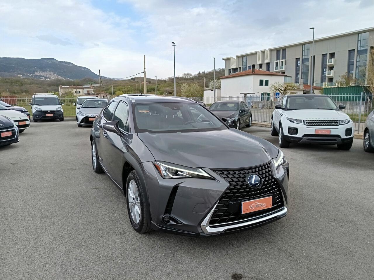 Lexus UX 250h 2.0 Business 2WD CVT MY20