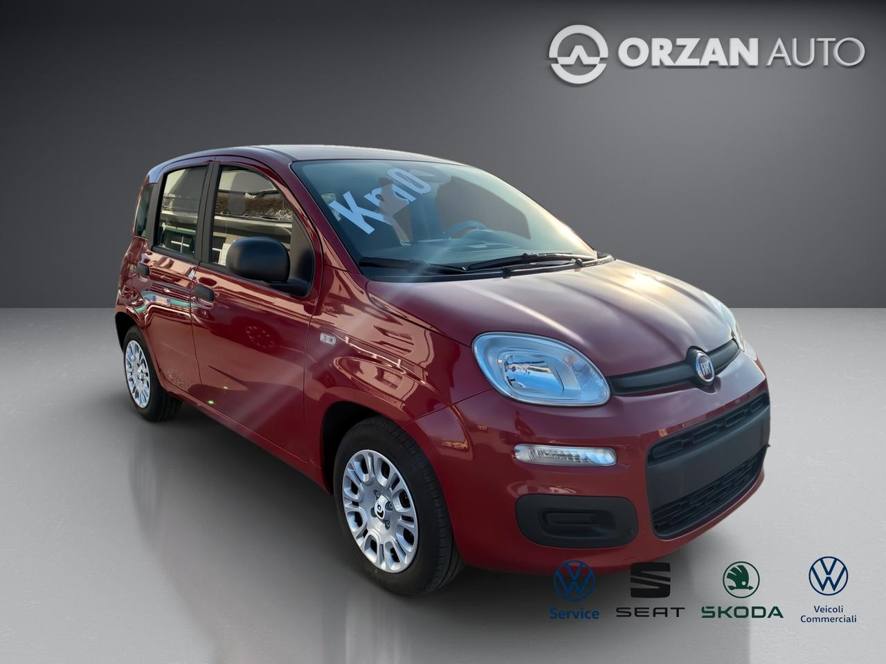 Fiat Panda 1.0 FireFly S&S Hybrid Icon CELL VENDITE 3491558563 - 3478673115