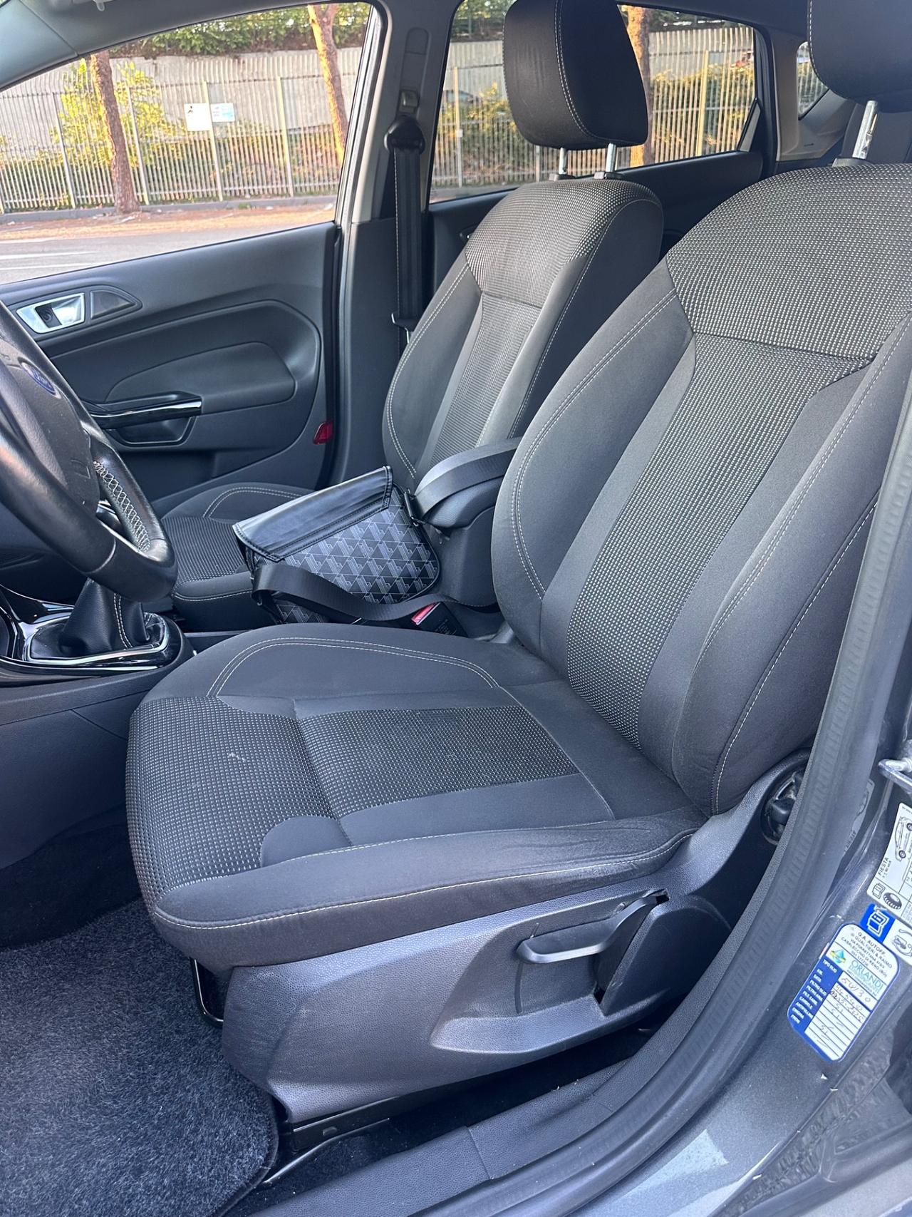 Ford Fiesta 1.4 5 porte Bz.- GPL Black & White Edition