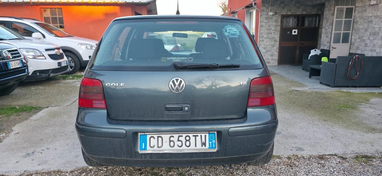 Volkswagen Golf 1.6 16V cat 5 porte Highline neop