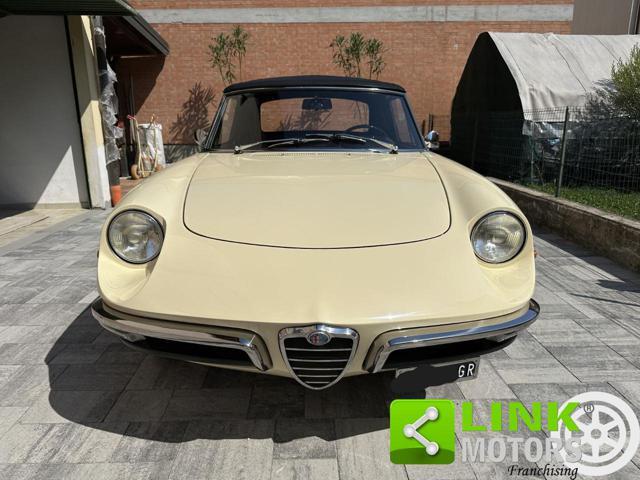 ALFA ROMEO Spider 1.3 Junior Osso di Seppia COMPLETAMENTE RESTAURATA