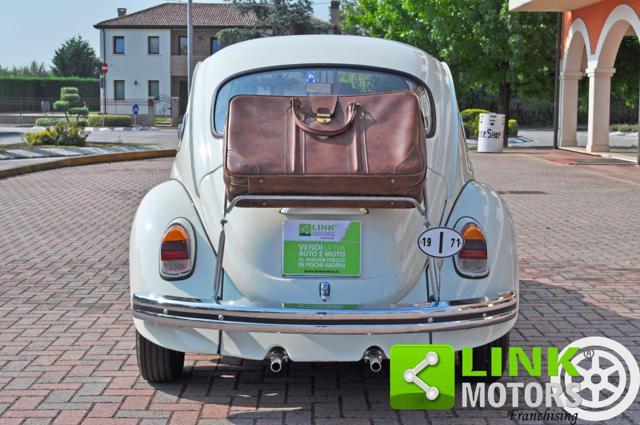 VOLKSWAGEN Maggiolino 11/D11