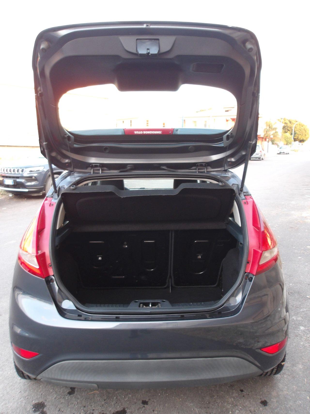 Ford Fiesta 5 Porte Fiesta 5p 1.4 tdci Titanium