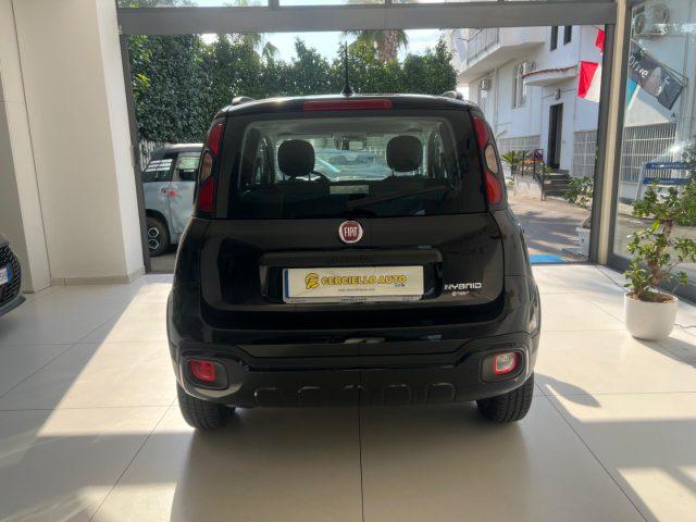FIAT Panda Cross 1.0 FireFly S&S Hybrid DA ?139,00 MENSILI