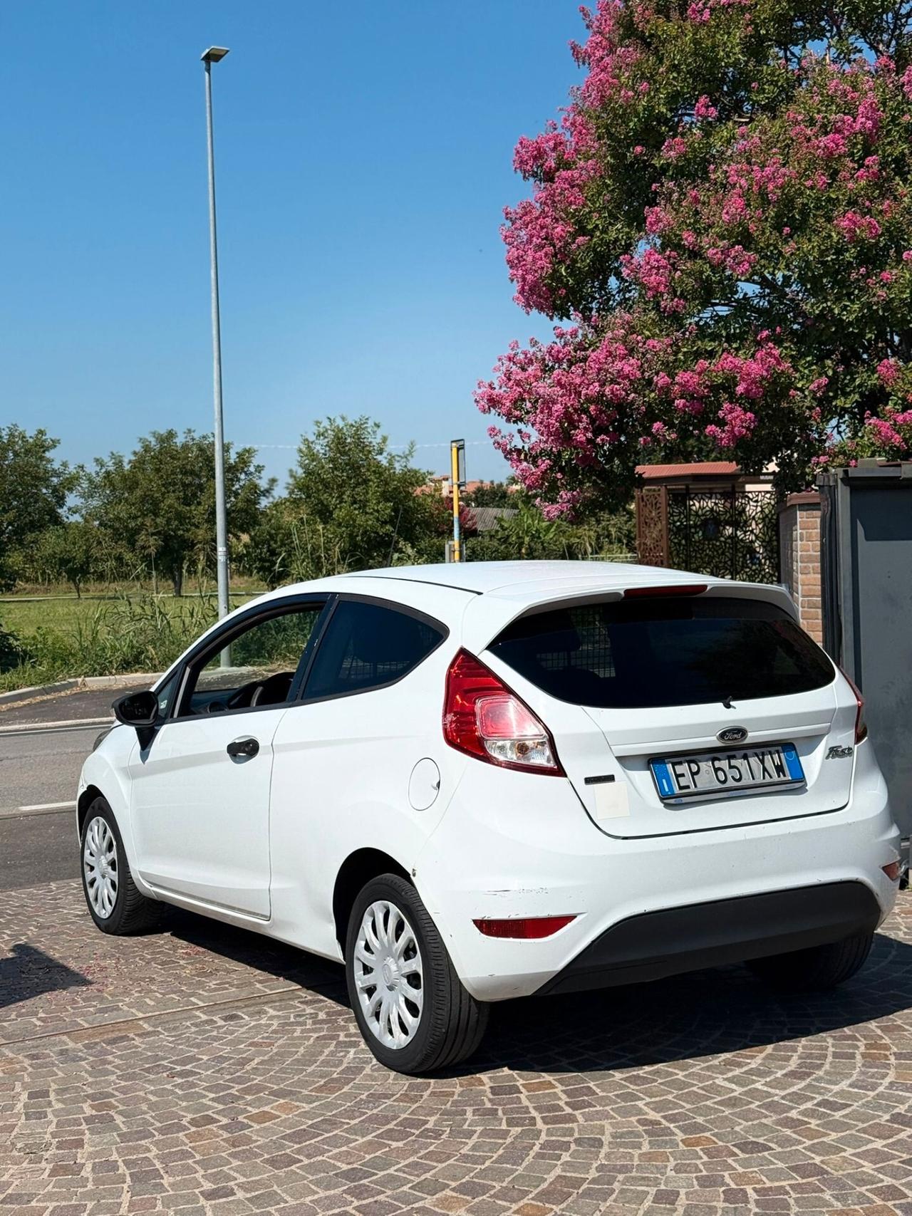 Ford Fiesta 1.5 TDCi 75CV 3 porte Van Entry