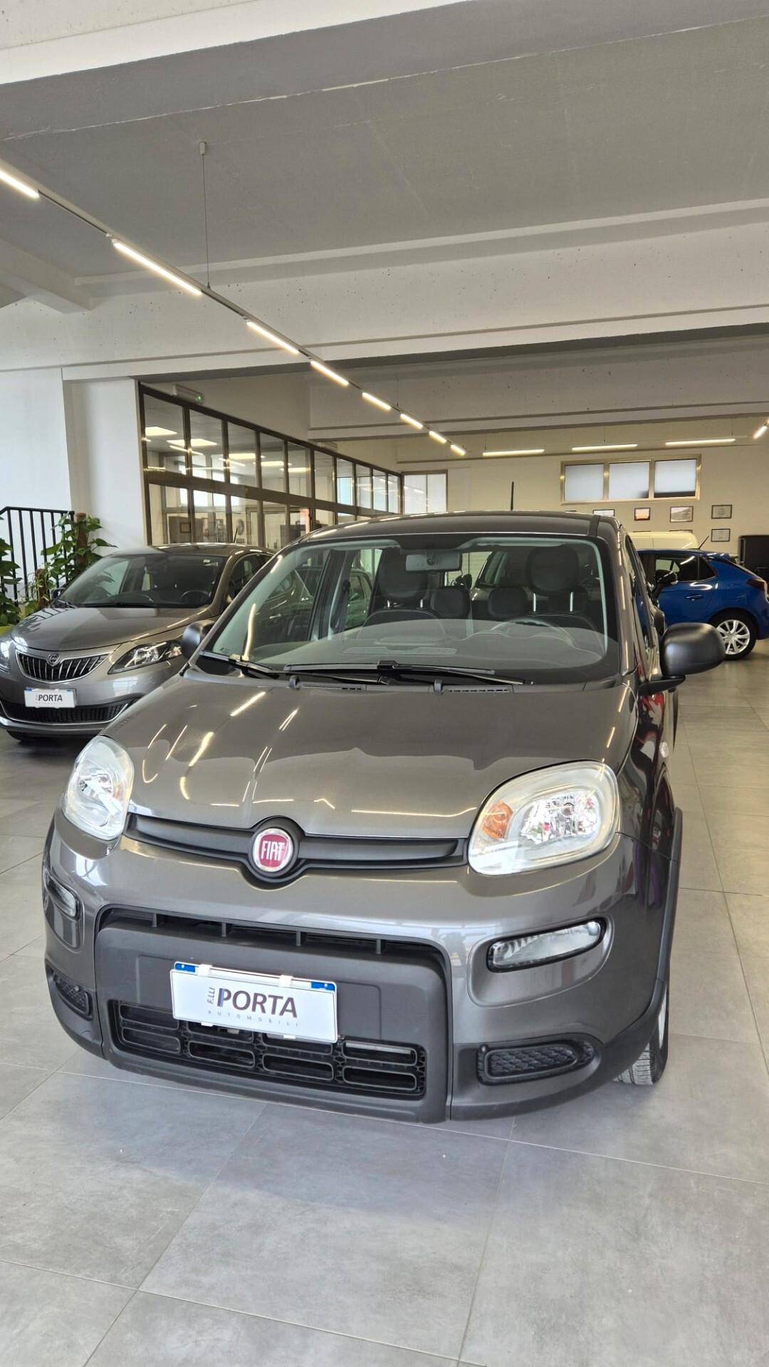 FIAT PANDA 1.0 FireFly 70cv S&S Hybrid City Life