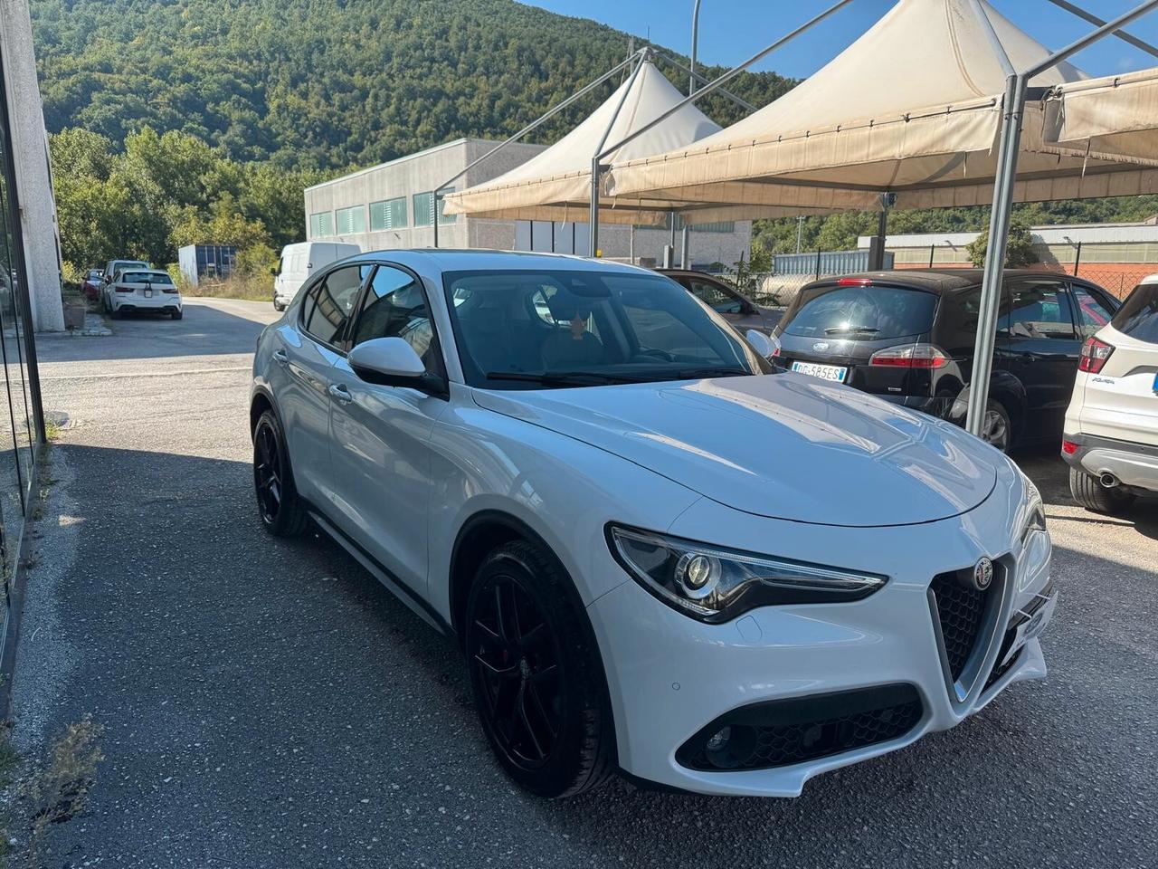 Alfa Romeo Stelvio 2.2 Turbodiesel 180 CV AT8 RWD Business