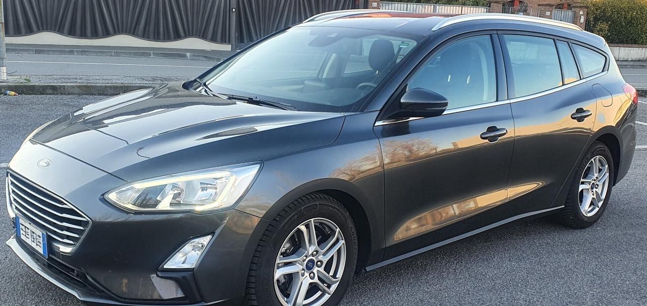 Ford Focus 1.5 EcoBlue 120 CV automatico SW Busine