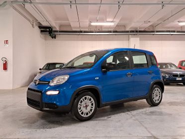 Fiat Panda 1000 FireFly Hybrid 70CV Panda 5 Porte Km. Zero