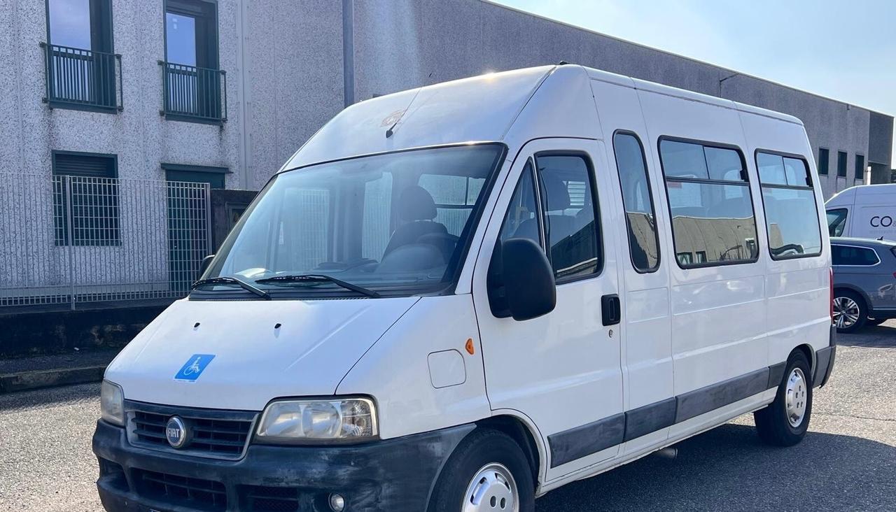 Mini bus Fiat Ducato trasporto disabili