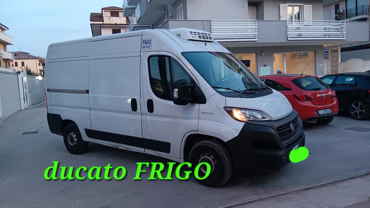 FIAT DUCATO FRIGO INCIDENTATA SINISTRATA MONDIALCARS 021