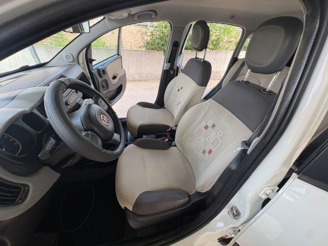 FIAT Panda 1.2 Easy EURO 5 BENZ OK NEOPATENTATI PRONTA CONS.