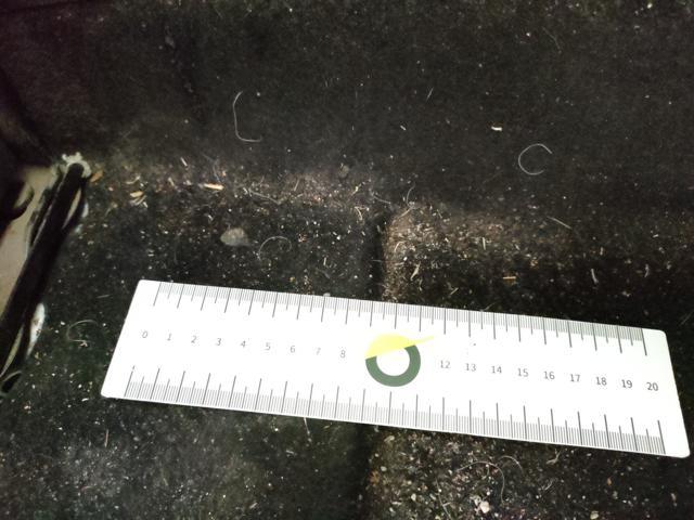 OPEL Combo 1.5d 100cv L1H1 Edition S&S mt5 E6.