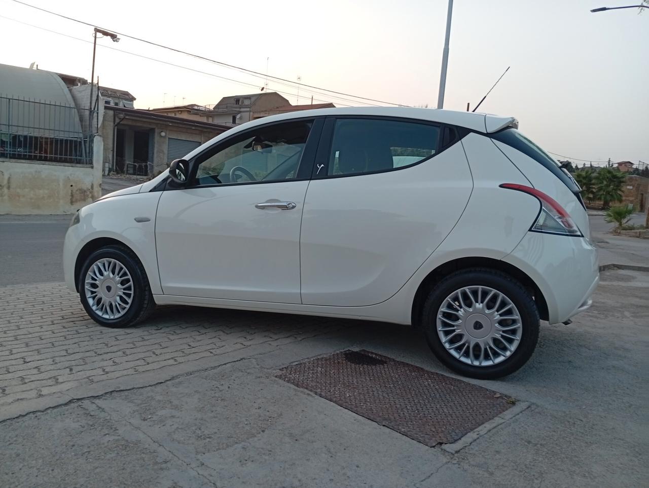Lancia Ypsilon 1.2 69 CV 5 porte Gold