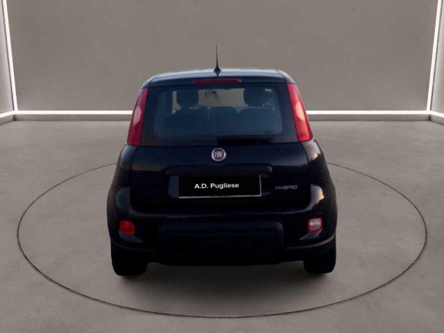 FIAT Panda 3ª serie - 1.0 FireFly S&S Hybrid