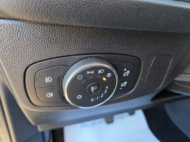 FORD Focus 1.5 EcoBlue 120 CV 5p. Business