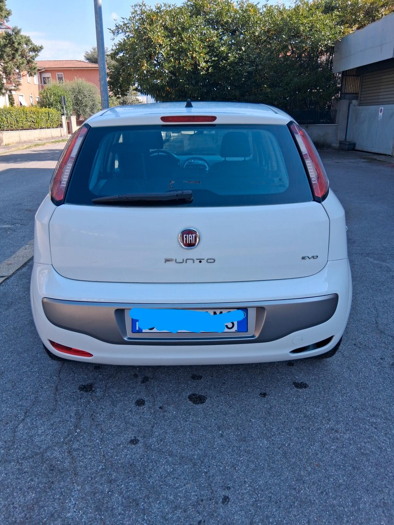 Fiat Punto 1.2 8V 5 porte Dynamic