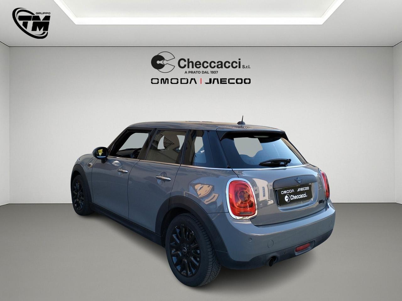 Mini 1.5 One D Hype