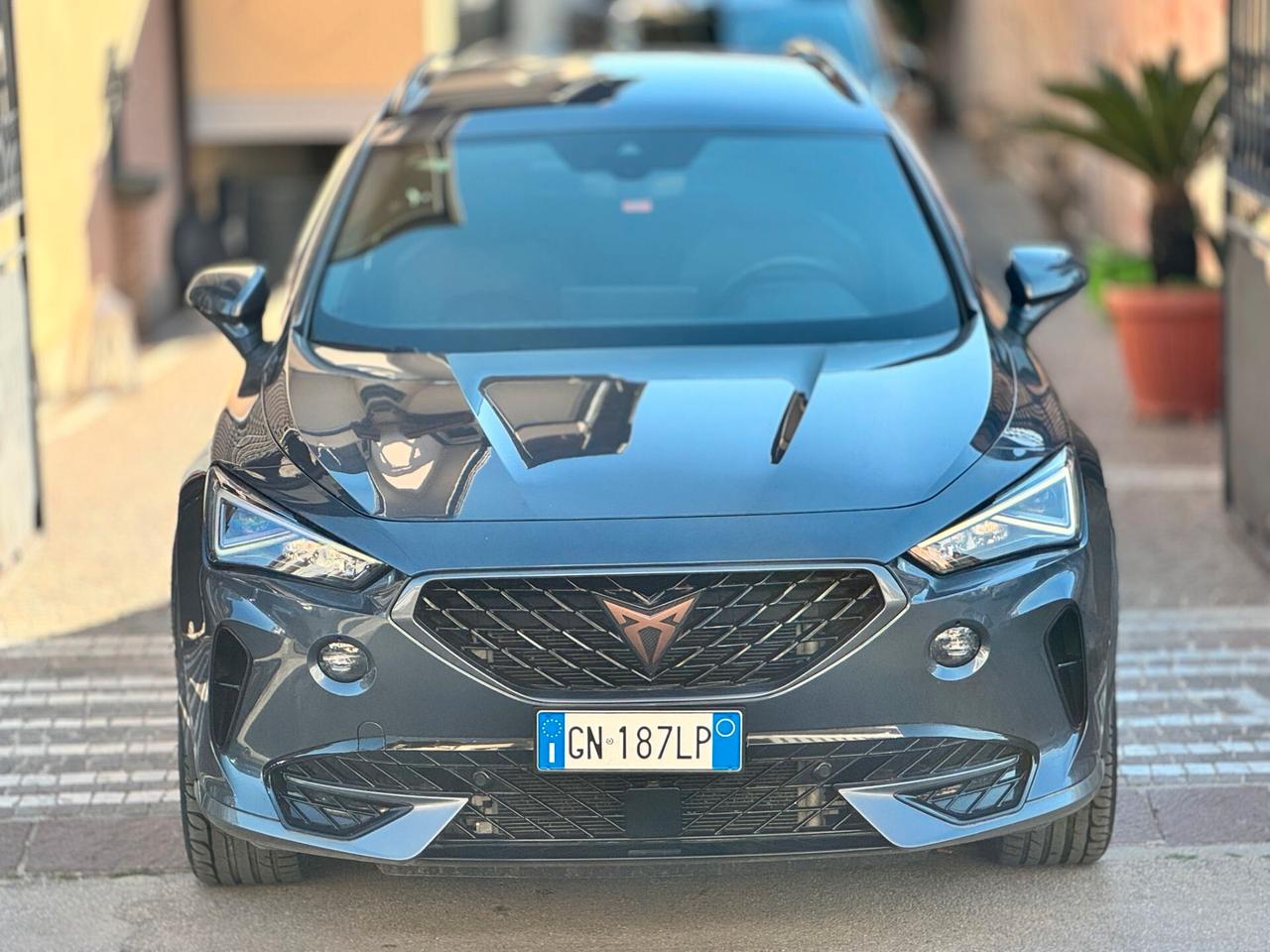 Cupra Formentor 2.0 TDI 4Drive DSG IVA DEDUCIBILE