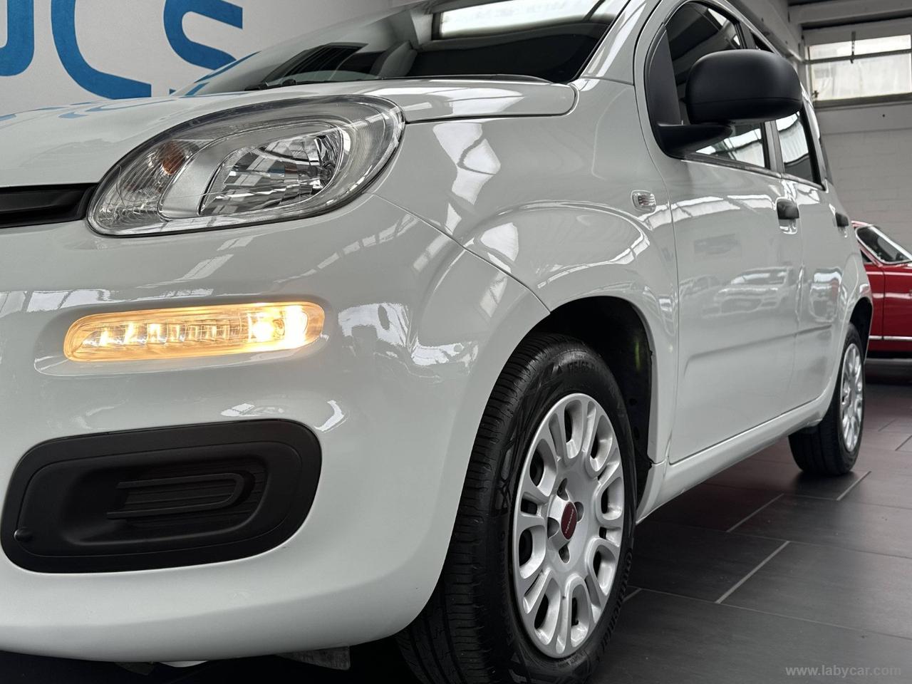 FIAT Panda 1.2 Easy OK PER NEOPATENTATI