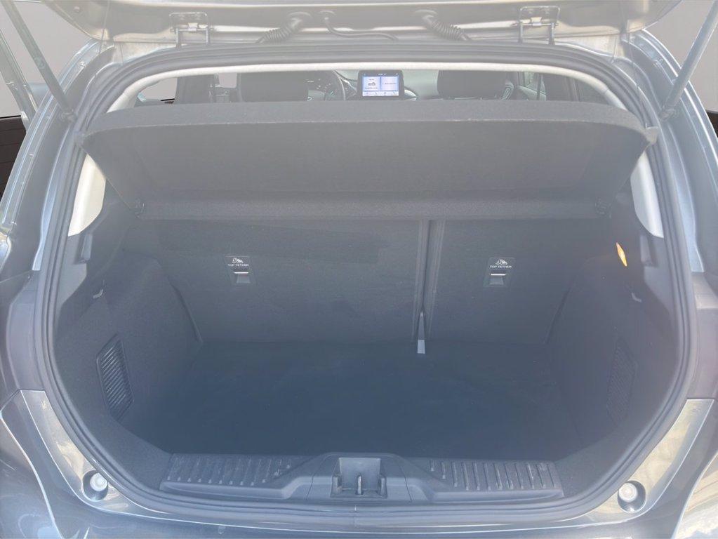 FORD Fiesta 1.0 Ecoboost Hybrid 125 CV 5 porte Titanium del 2023