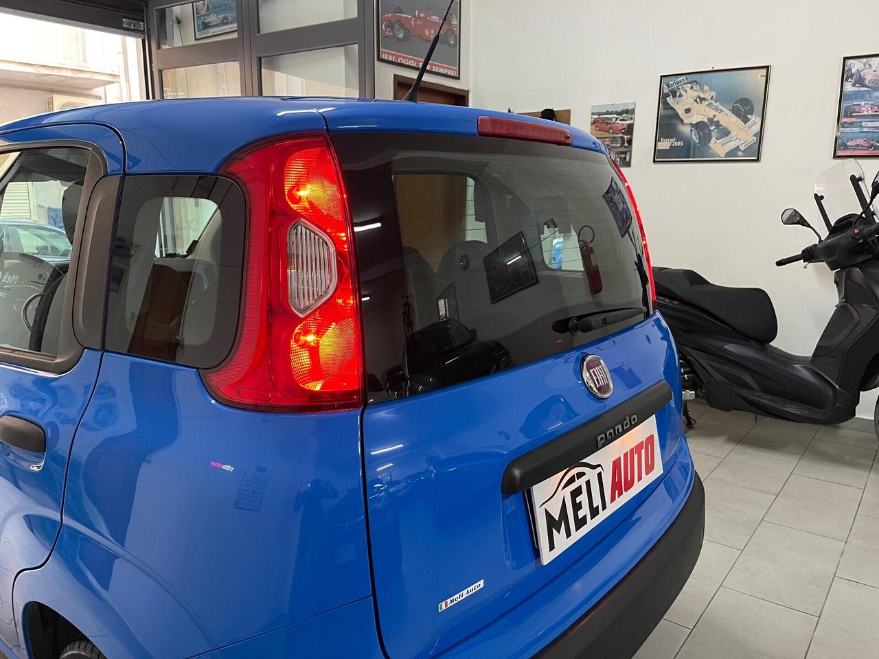 Fiat Panda 1.2 Benzina 69 CV Pandazzurri