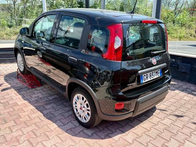 Fiat Panda Panda 1.0 firefly S&S PRONTA CONSEGNA