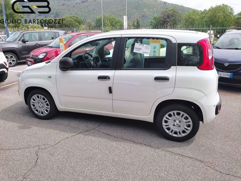 FIAT Panda 1.0 FireFly 70cv S&S Hybrid Pandina
