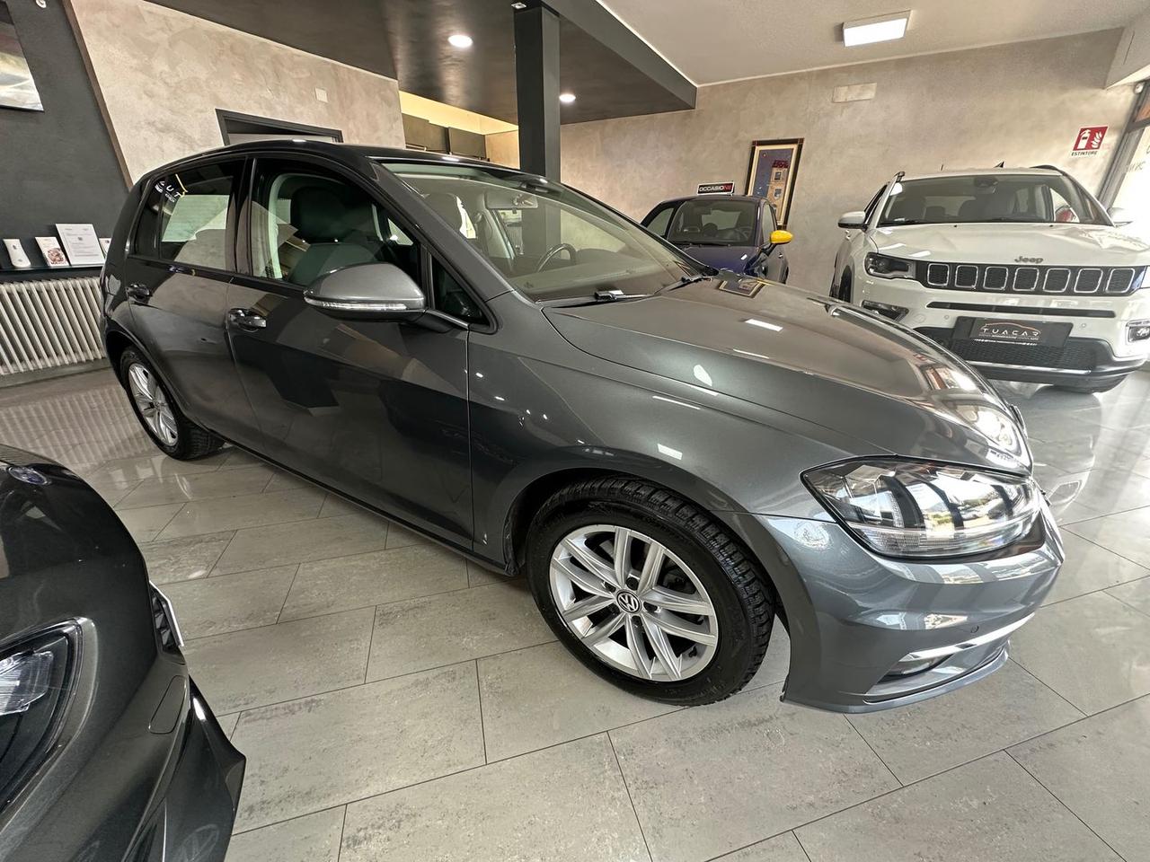 Volkswagen Golf 1.6 TDI BlueMotion Business #5876