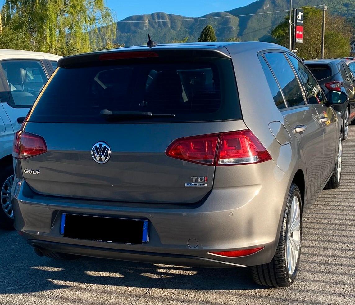 Volkswagen Golf Variant Business 1.6 TDI 110 CV Highline BMT