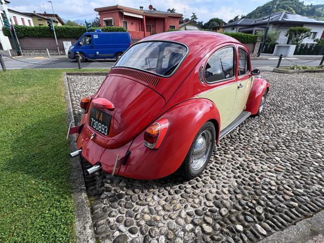 VOLKSWAGEN Maggiolone lusso