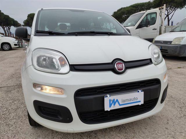 FIAT Panda 1.2 Easy CLIMATIZZATORE OK NEOPATENTATI