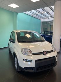 Fiat Panda 2024 PANDINA KM 0 NUOVA FULL