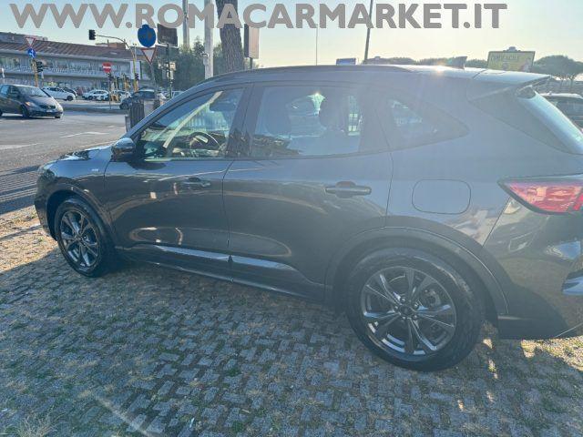 FORD Kuga 1.5 EcoBlue 120 CV aut. ST-Line KM CERTIFICATI