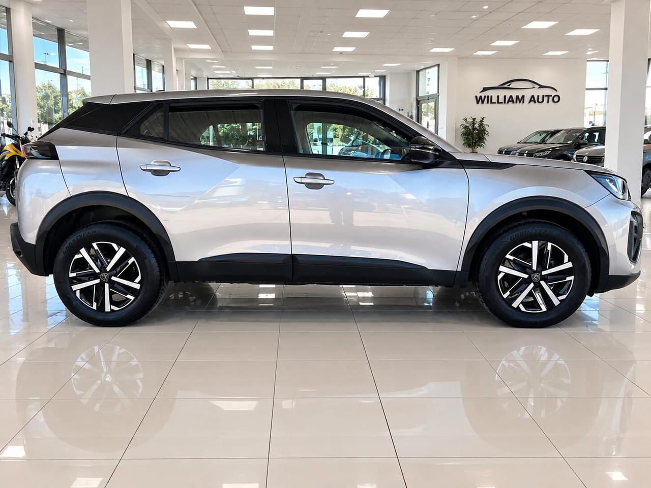 Peugeot 2008 1.2 Active 100 CV S&S