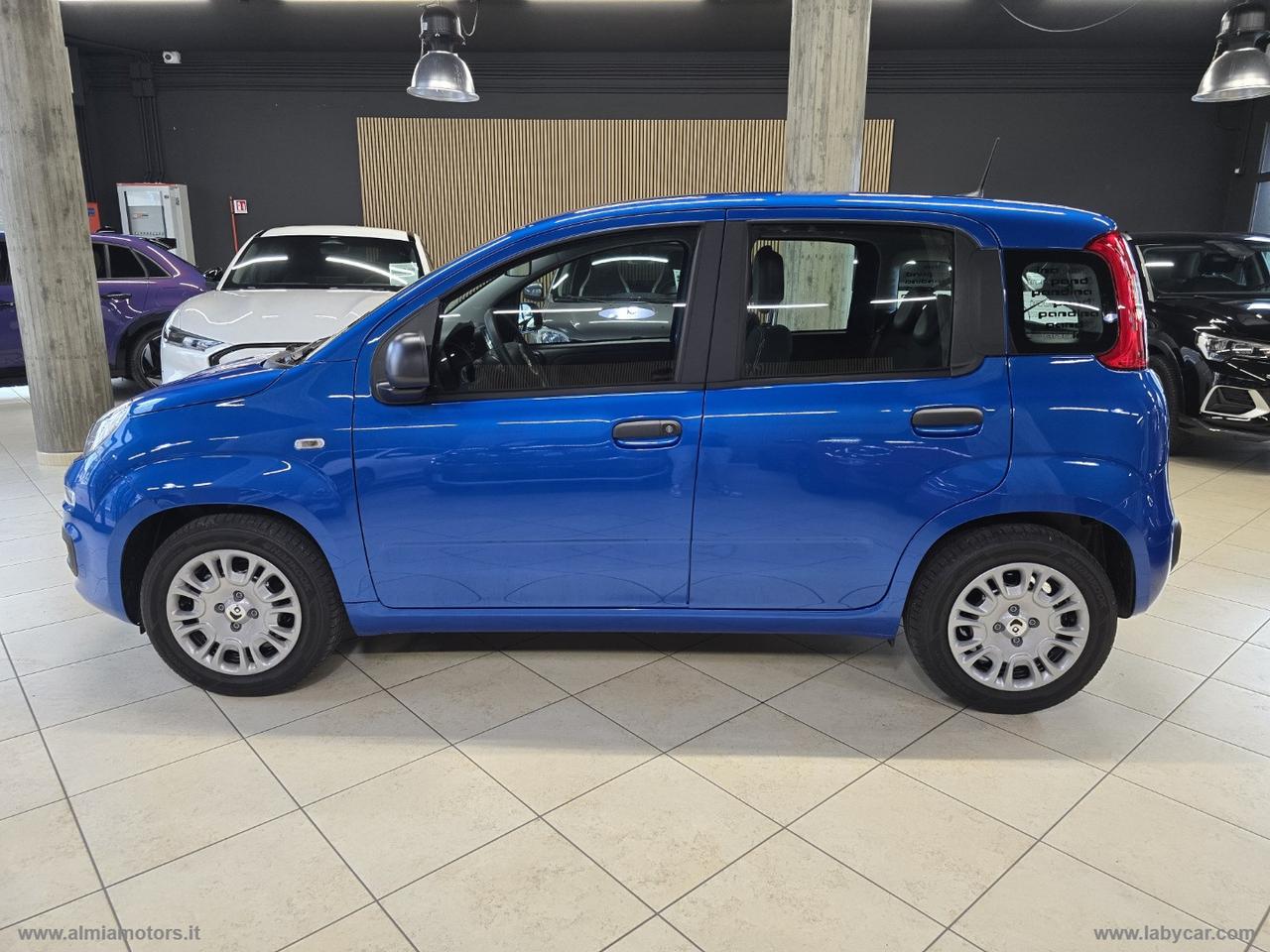 FIAT Pandina 1.0 FireFly 65 CV Hybrid Icon