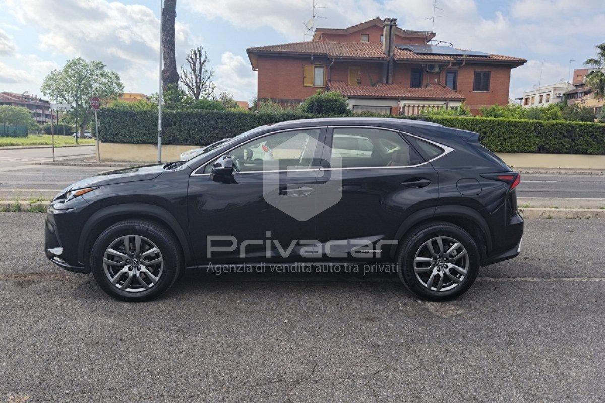 LEXUS NX Hybrid 4WD Executive