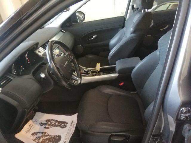 LAND ROVER Range Rover Evoque 2.0 eD4 5p. Business Edition Premium Pure