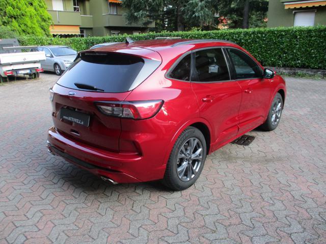 FORD Kuga 1.5 EcoBoost 150 CV 2WD ST-Line X