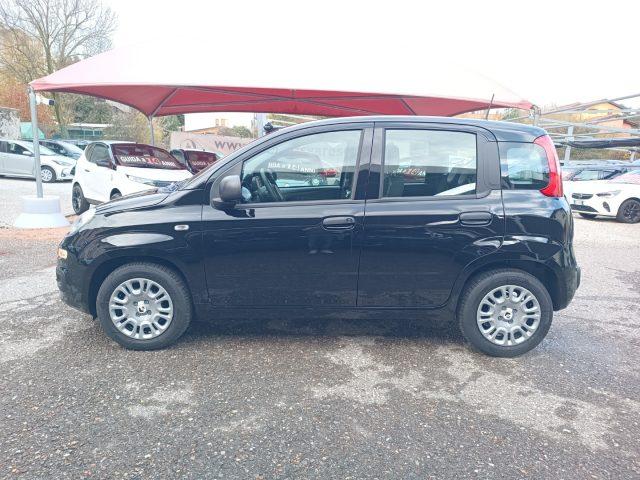 FIAT Panda 1.0 FireFly S&S Hybrid Icon