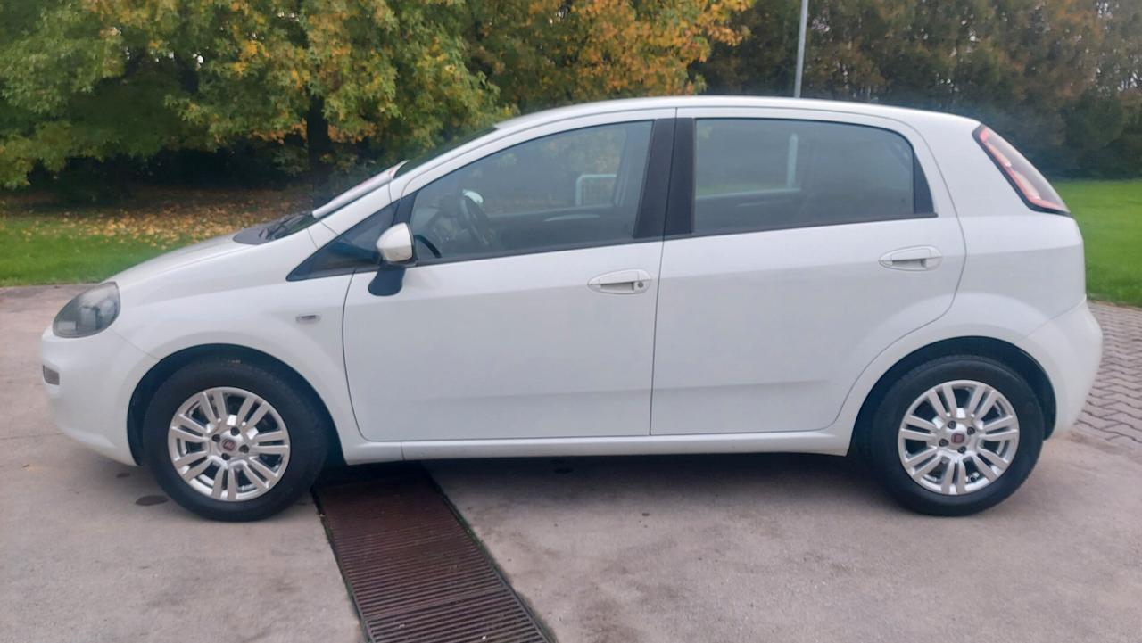 Fiat Punto 1.2 8V 5 porte Lounge - Neopatentati