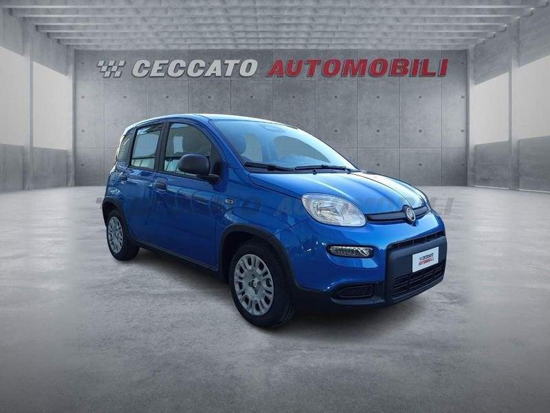 FIAT Panda Panda 1.0 70cv Hybrid Panda