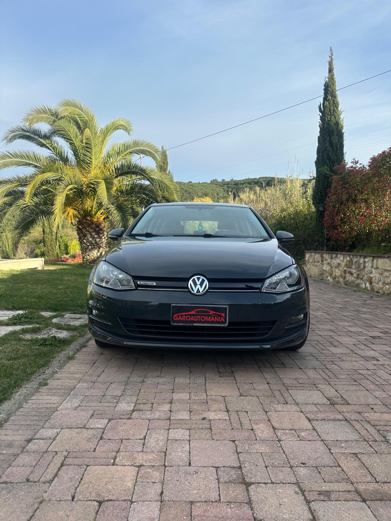 Volkswagen Golf 1.4 TGI 5p. Comfortline BlueMotion