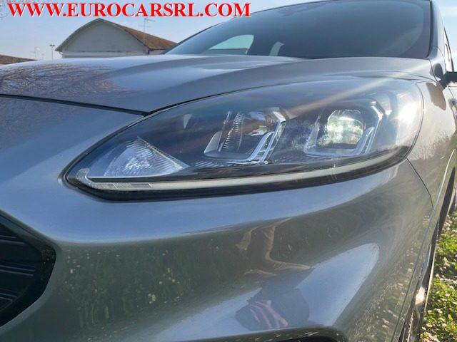 FORD Kuga 1.5 EcoBlue 120 CV 2WD ST-Line