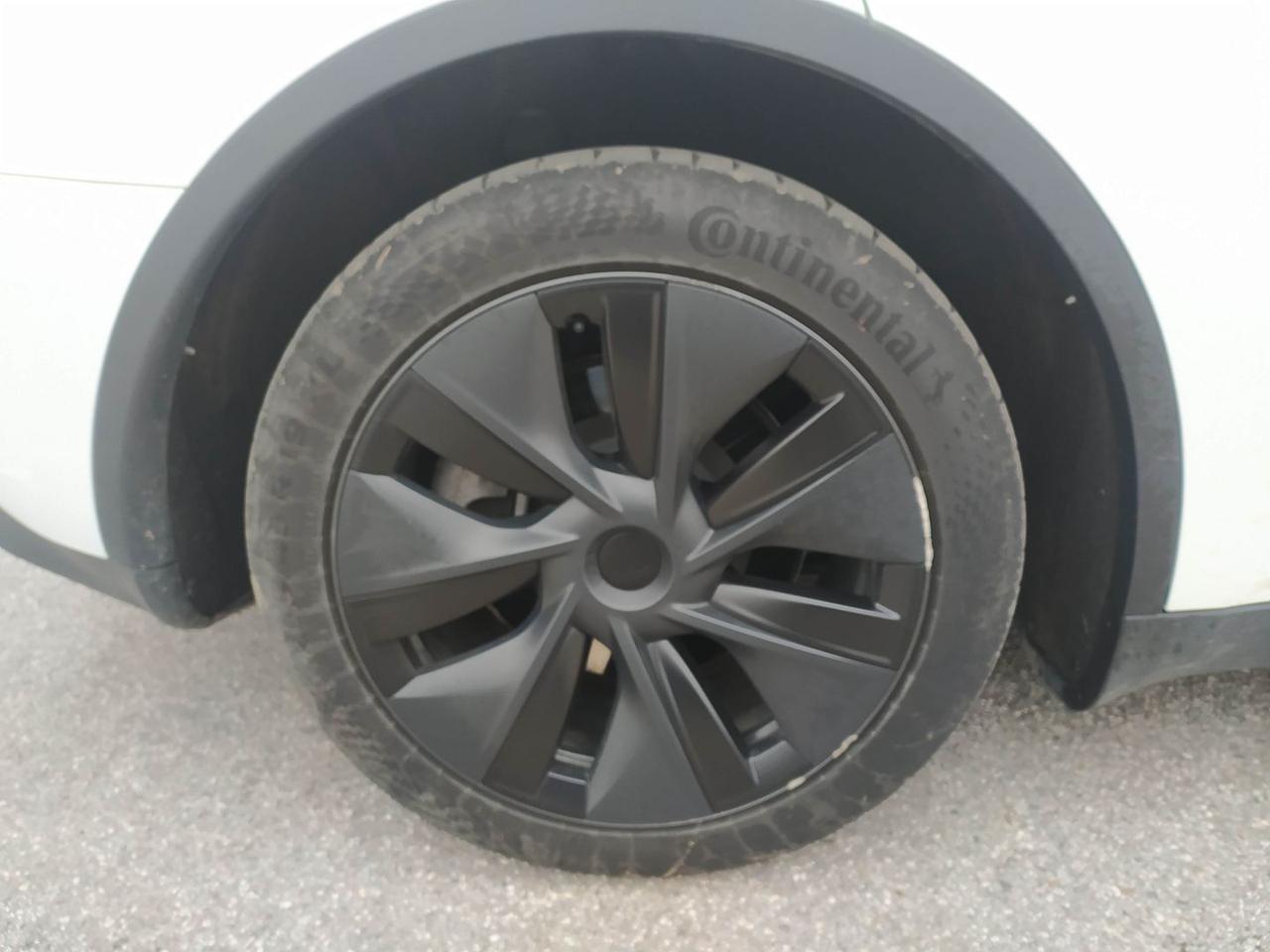 Tesla Model Y Standard Range / Standard #9113